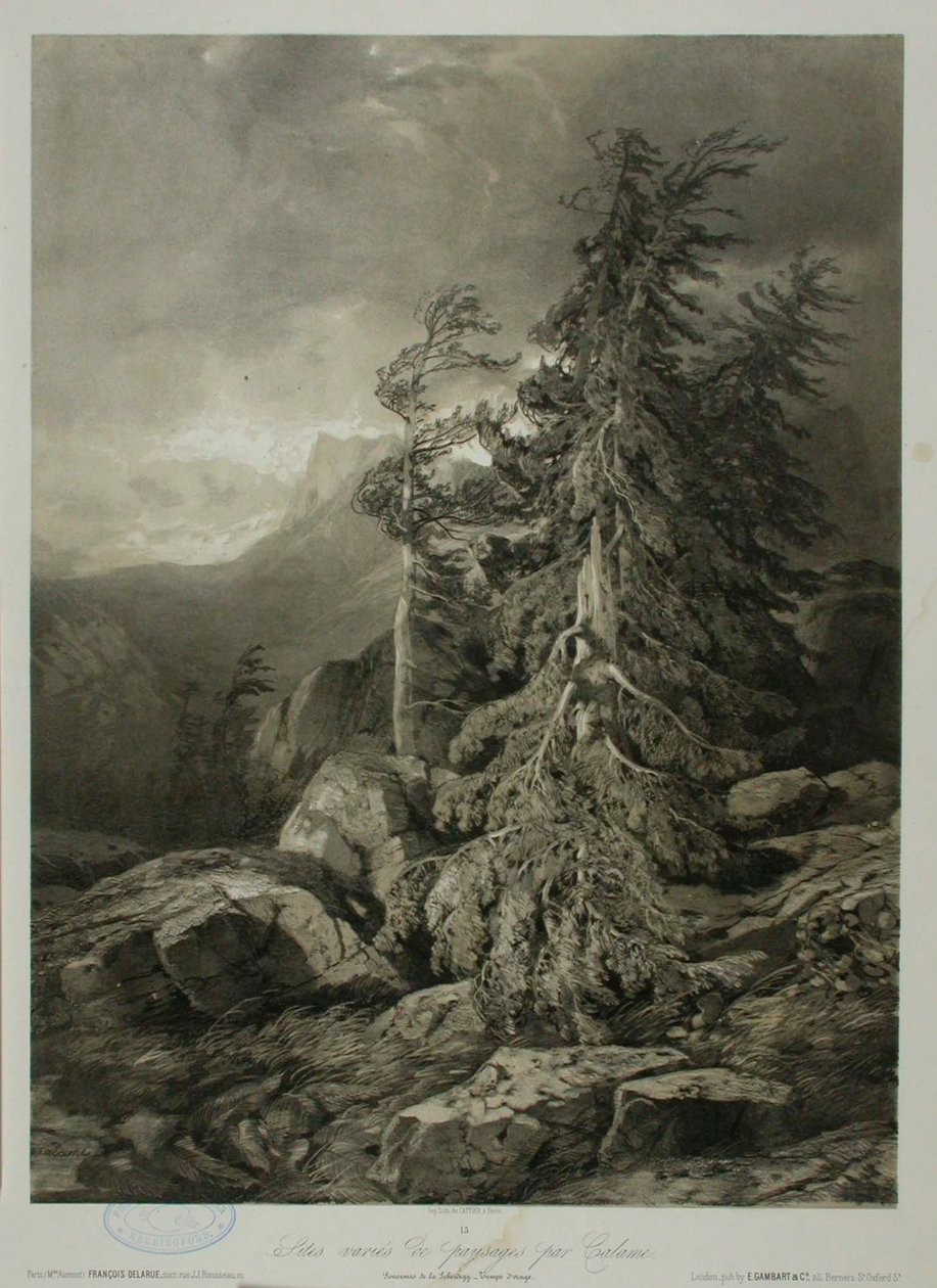 Sem título de Alexandre Calame