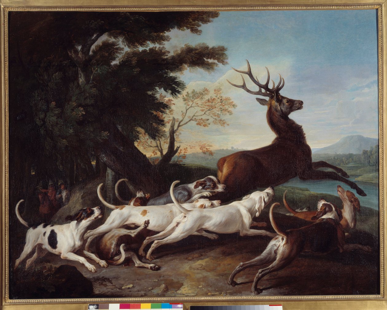 A caçar: "Debuche du veado" Pintura de François Desportes (1661-1743) 1718 Sol. 1,1x1,45 m Rouen, Musee des Beaux Arts de Alexandre Francois Desportes
