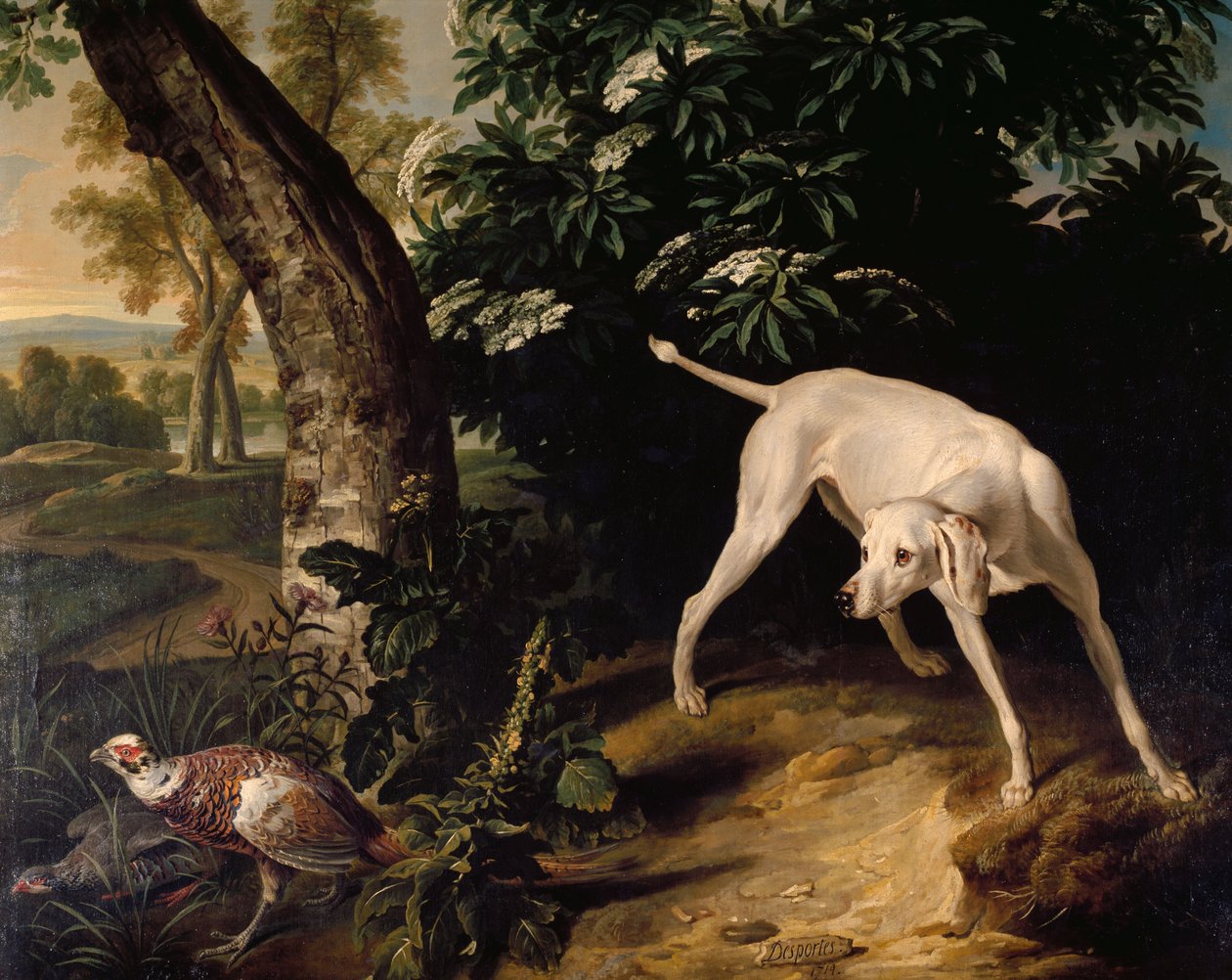 Cena de caça, detalhe da pintura de Alexandre-Francois Desportes (1661-1743), França de Alexandre Francois Desportes