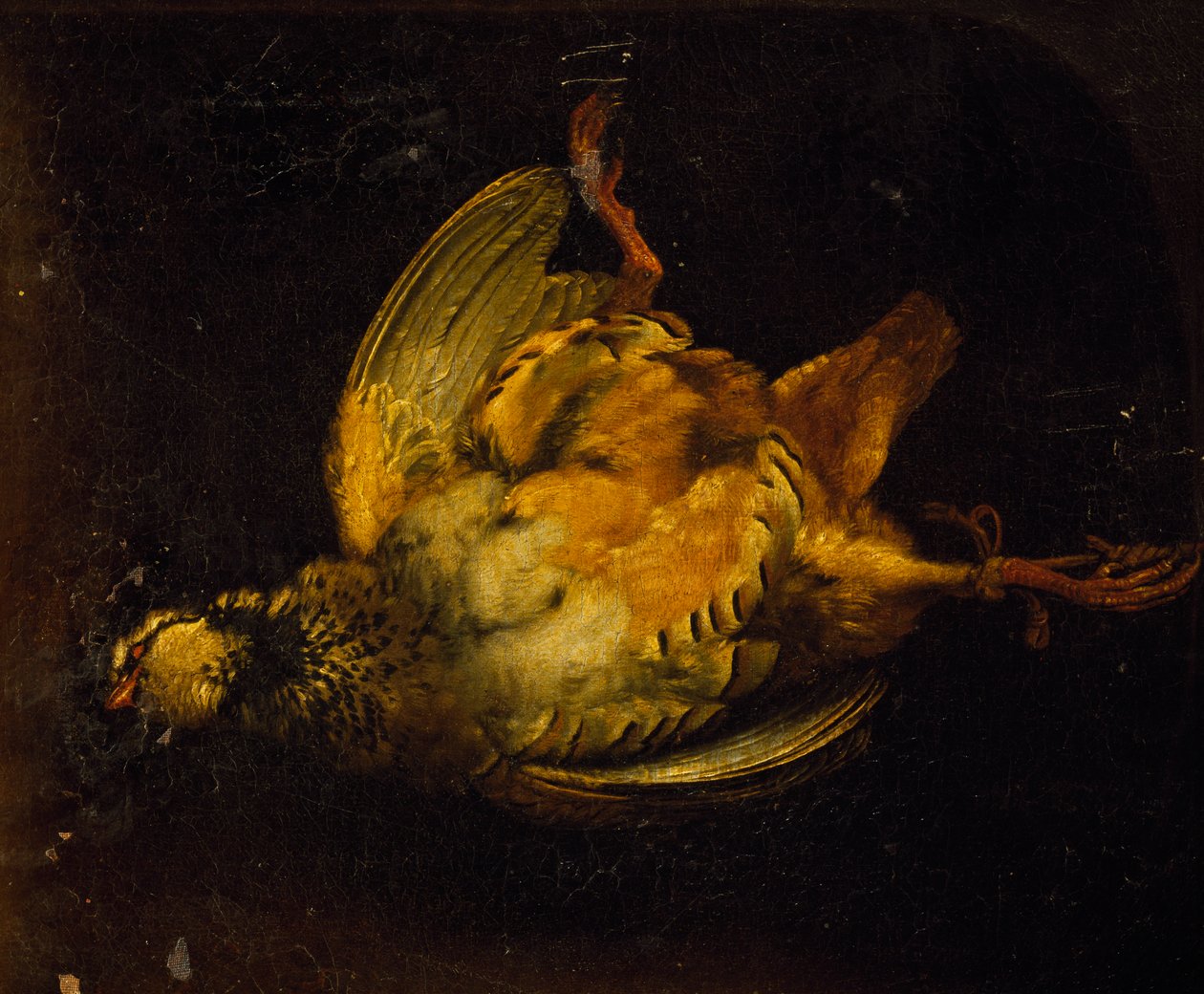 Natureza morta com perdiz, pintura de Alexandre-Francois Desportes (1661-1743), França de Alexandre Francois Desportes