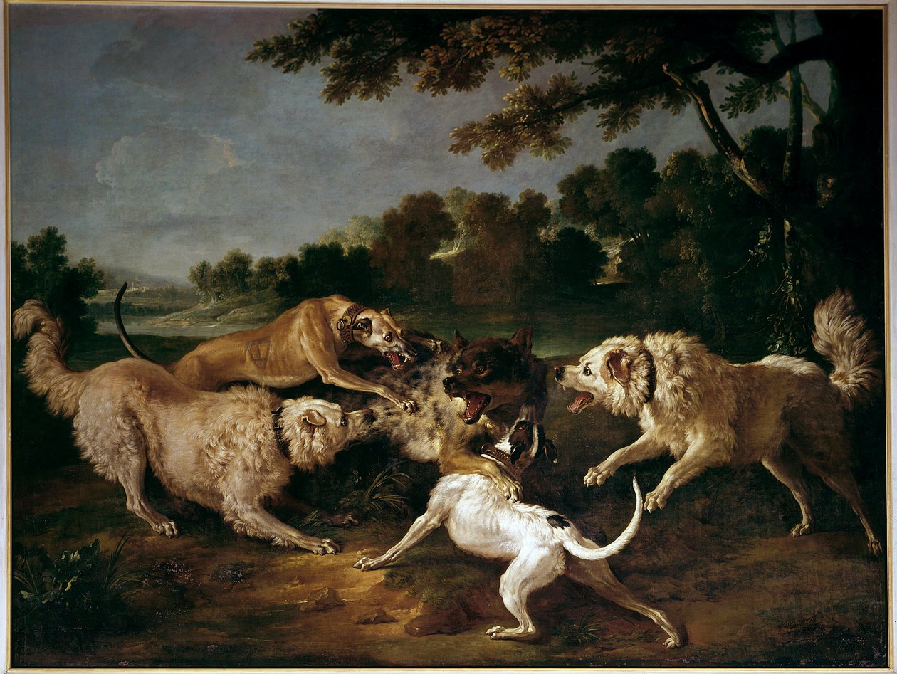 A Caça ao Lobo Pintura de François Desportes (1661-1743) de Alexandre Francois Desportes