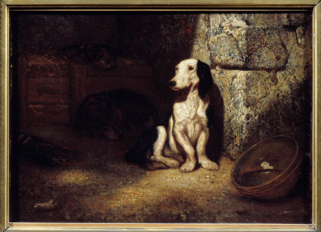 Cão baixo preto e branco no canil. Ao lado, uma tigela cheia de água. Pintura de Alexandre Gabriel Decamps (1803-1860) 1849 Sol. 0,25x0,35 m de Alexandre Gabriel Decamps