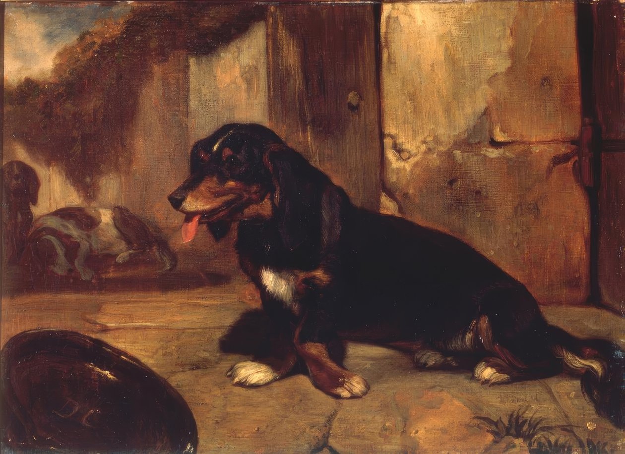 Cão basset de Alexandre Gabriel Decamps