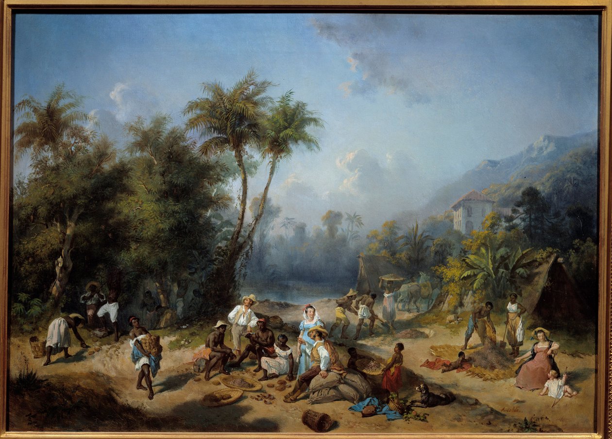 Uma plantação de cacau nas Índias Ocidentais Pintura de Alexandre Balance (1822-1893) Sol do século XIX. 0,5x0,7 m La Rochelle, Musee du Nouveau Monde - Uma plantação de cacau nas Índias Ocidentais. Pintura de Alexandre Balança (1822-1893) de Alexandre Solde