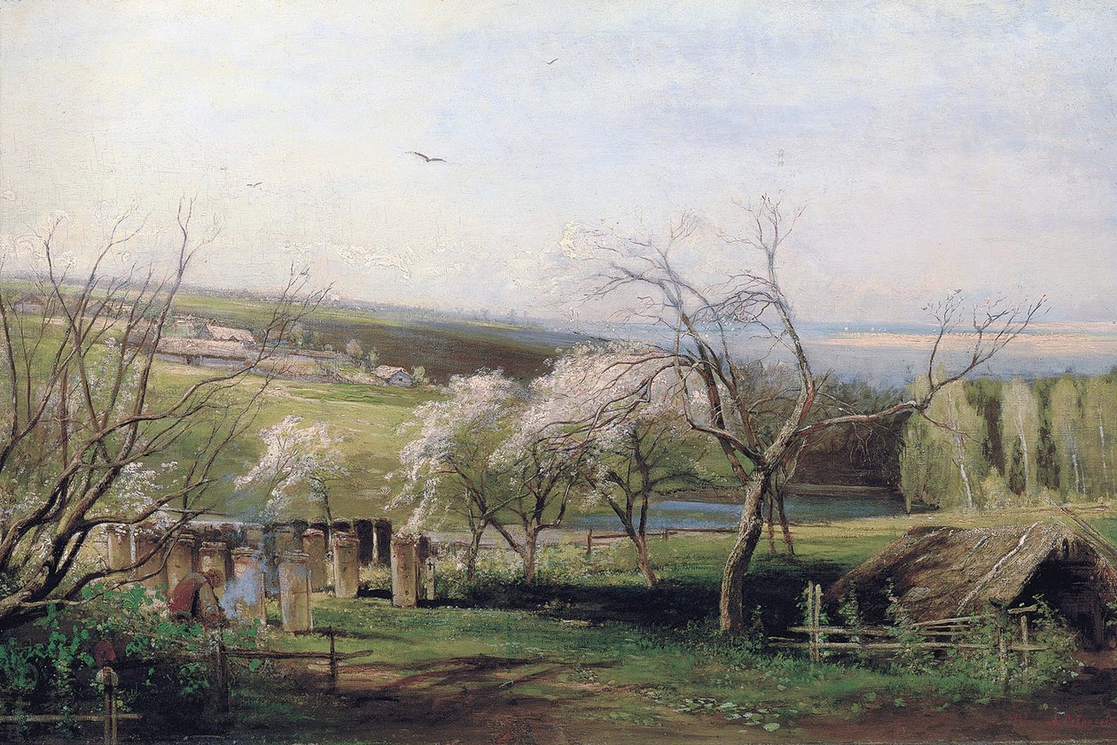 Vista do campo