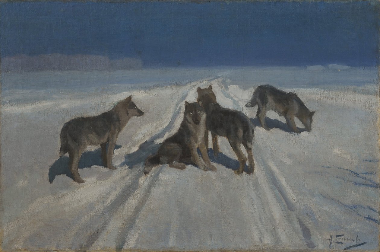 Lobas de Alexei Stepanovich Stepanov