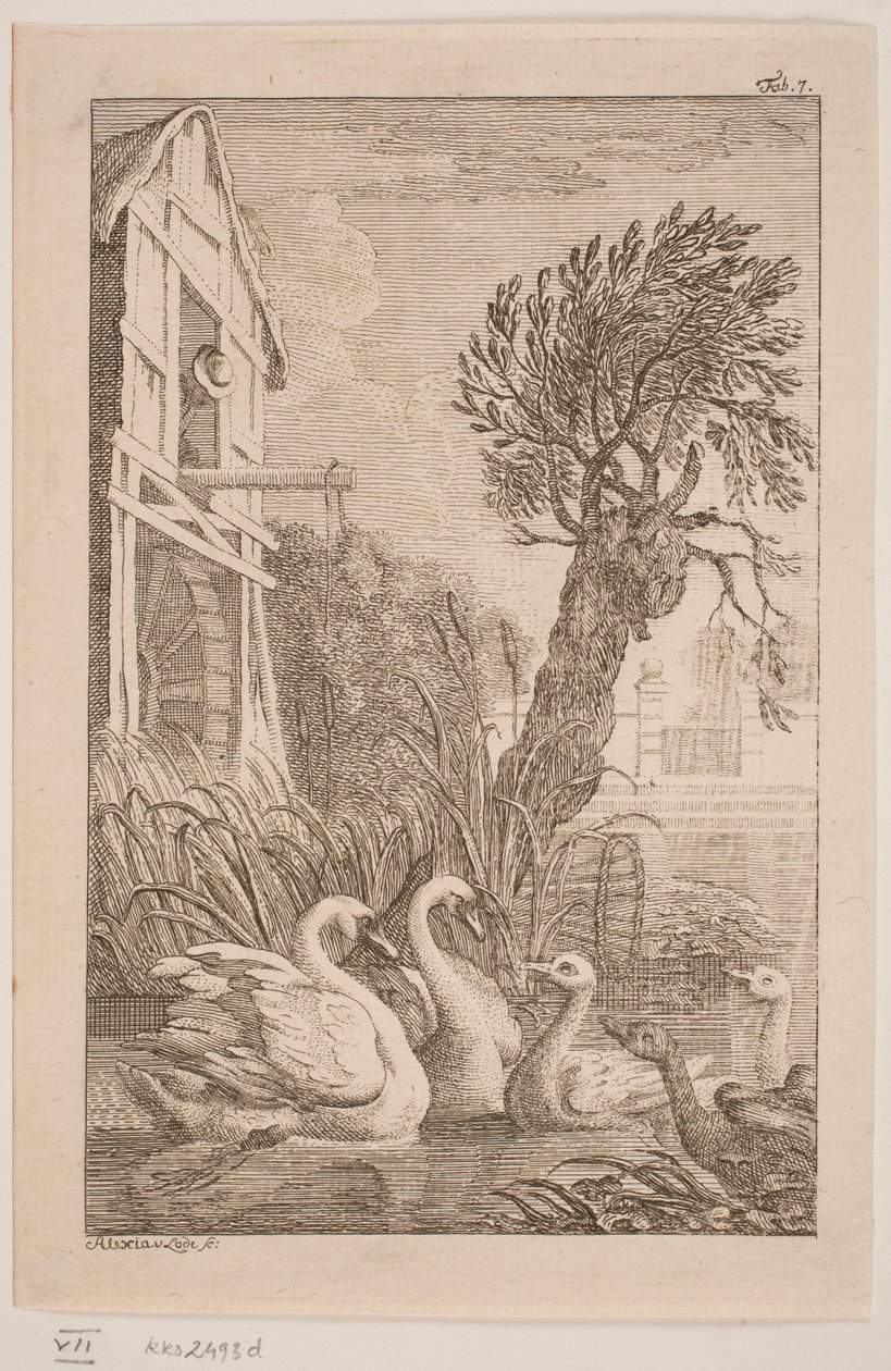 O Ganso e o Cisne de Alexia von Lode