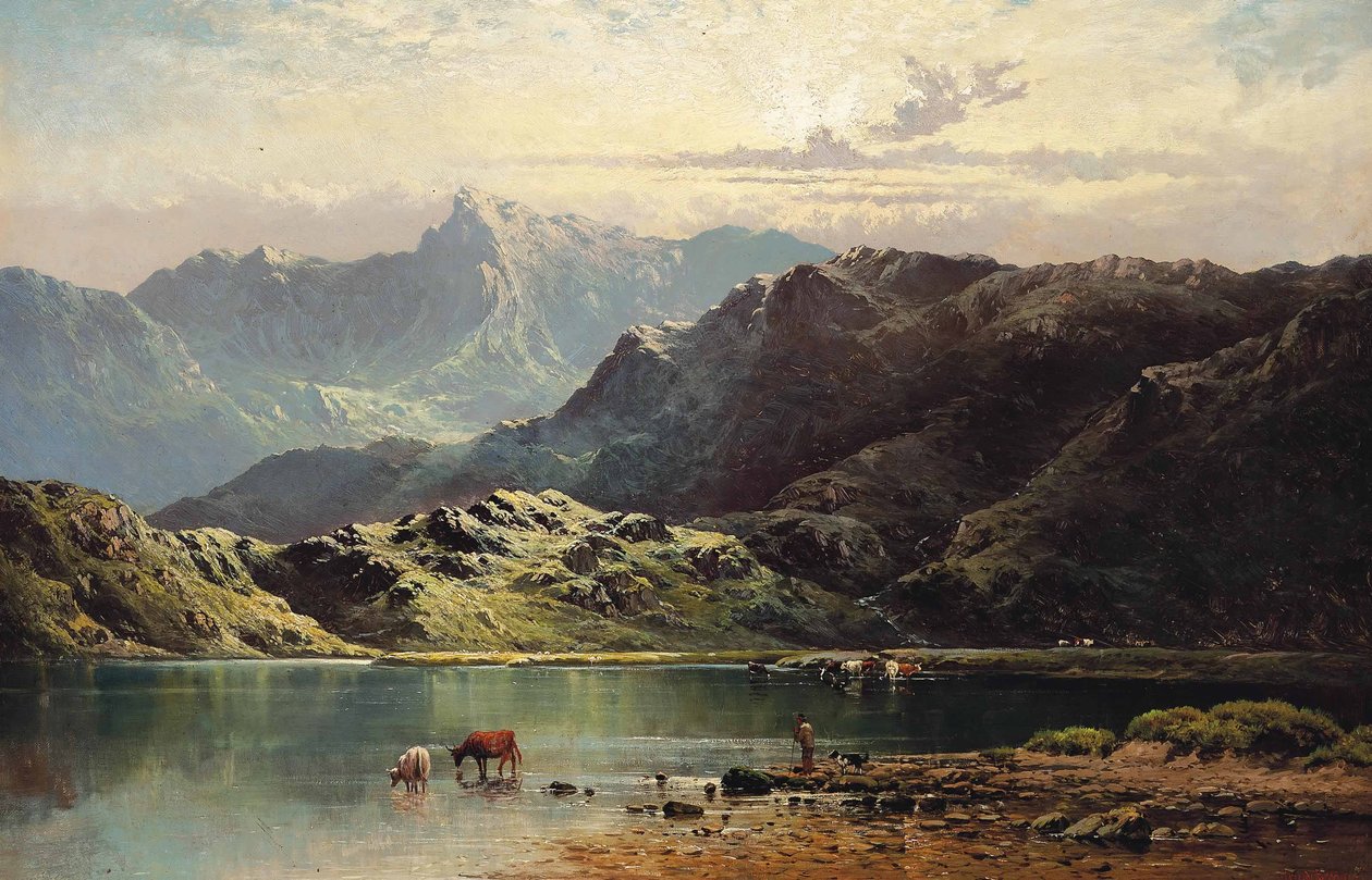 Gado que molha na borda de um loch, fim da tarde de Alfred de Breanski