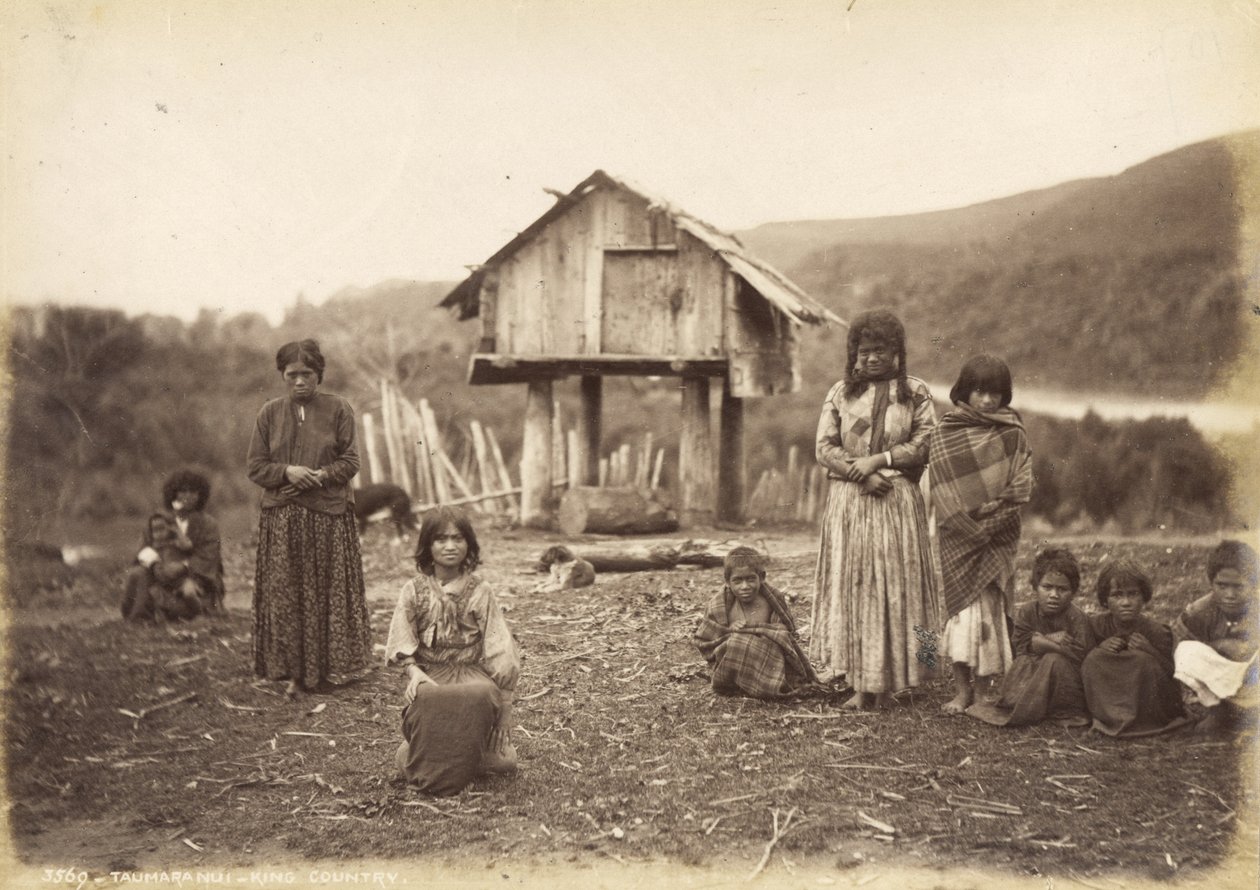Taumaranui - King Country, 29 de maio de 1885 (impressão albumen) de Alfred Burton