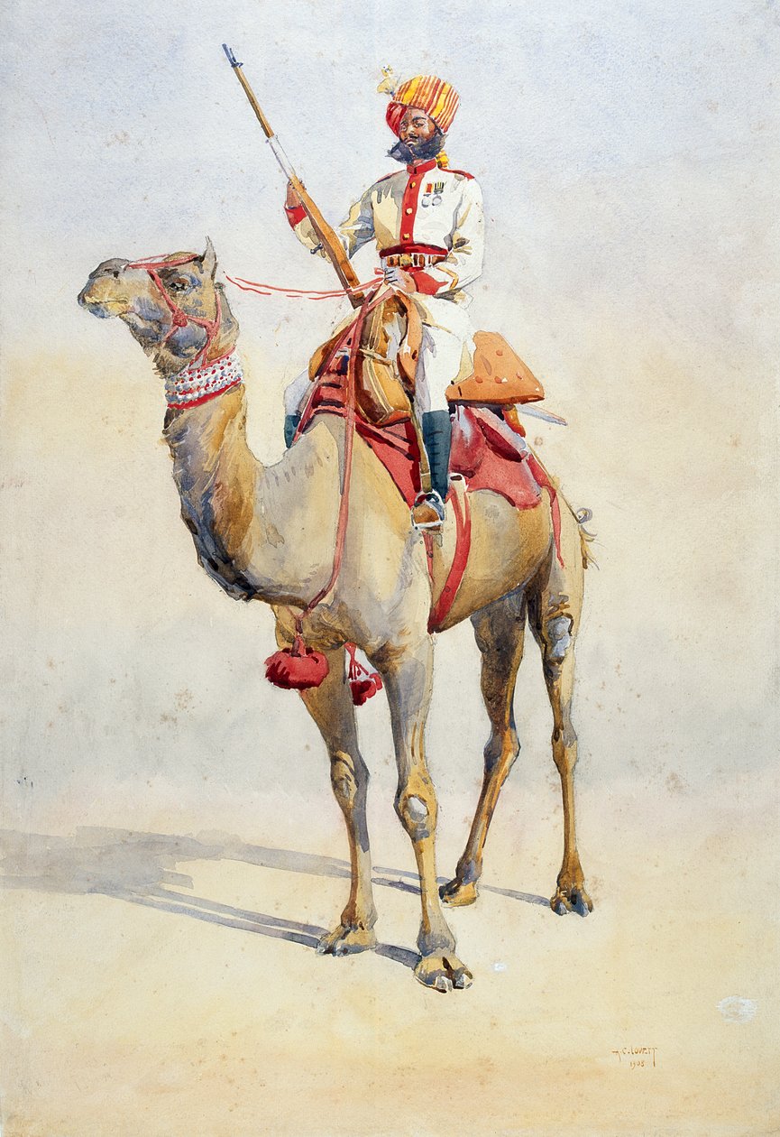 Sowar do Bikanir Camel Corps, ilustração para &39;Exércitos da Índia&39; pelo Major GF MacMunn, publicado em 1911, 1908 de Alfred Crowdy Lovett