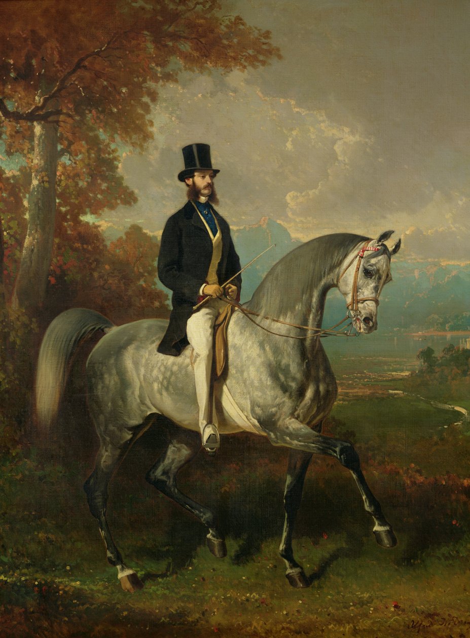 Conde Alfred de Montgomery (1810-91) 1850-60 de Alfred Dedreux