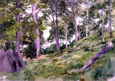 Clareira na floresta perto de Ludlow, século XIX de Alfred Nichols