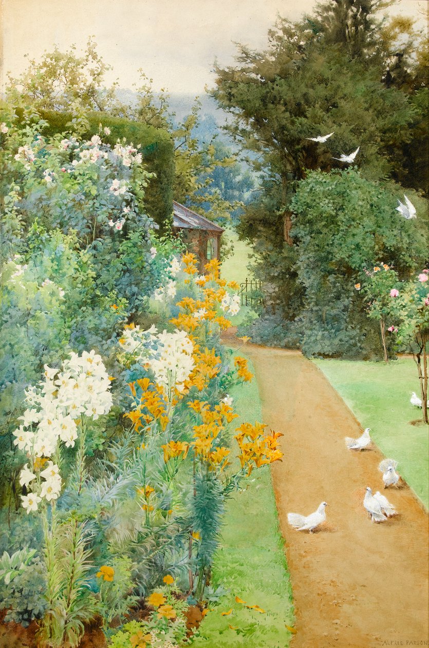 Lírios e pombas em um canto do meu jardim (wc no papel) de Alfred Parsons