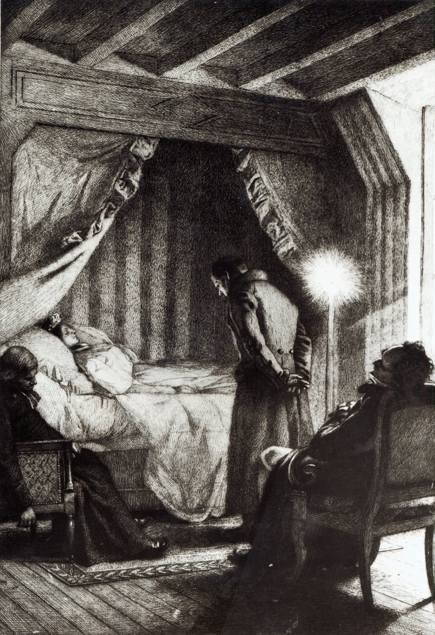 A morte de Emma Bovary de "Madame Bovary", de Gustave Flaubert, gravado por Carlo Chessa (1855-1925), 1906 de Alfred Paul Marie Richemont