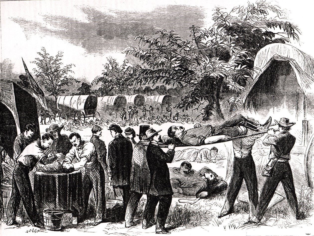 Levando os feridos após a batalha de Antietam em 1862 de Alfred Rudolph Waud