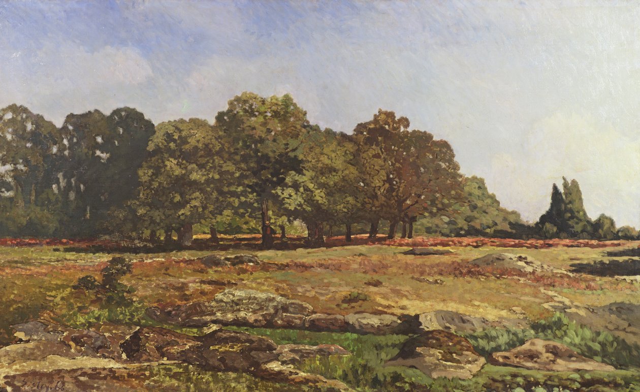 Avenida de castanheiros em La Celle-Saint-Cloud, c.1866-67 de Alfred Sisley