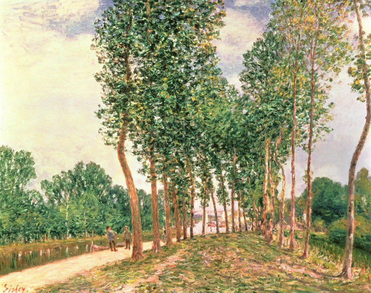 Bancos do Loing, perto de Moret de Alfred Sisley