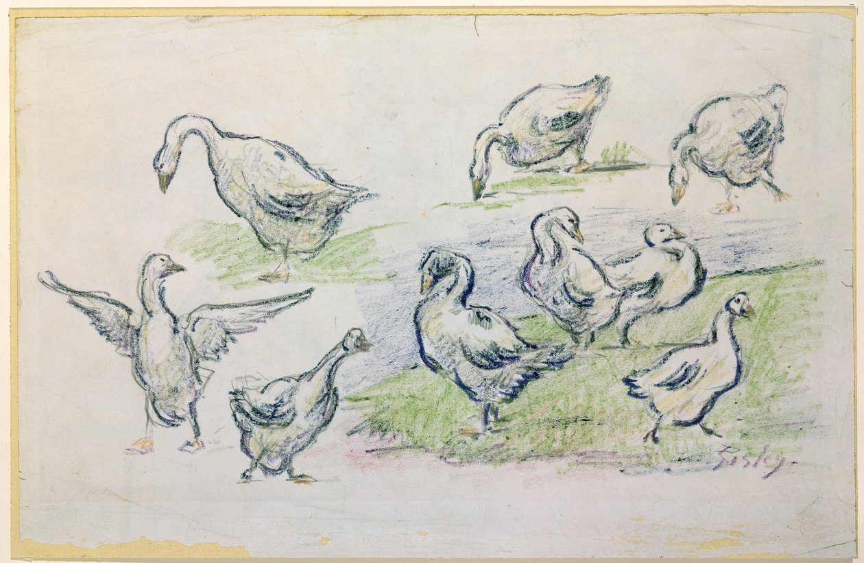 Patos (crayon) de Alfred Sisley