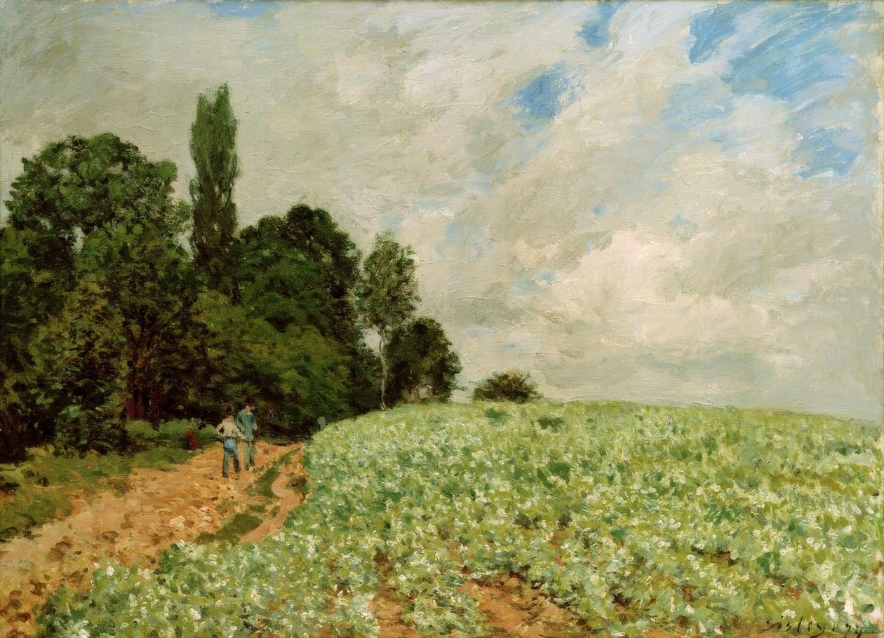O campo de trevo de Alfred Sisley