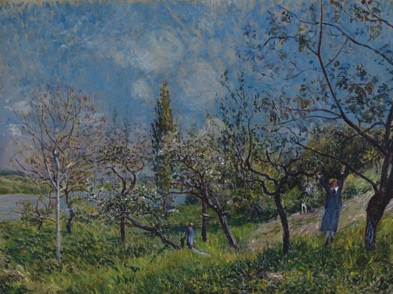 Pomar na Primavera de Alfred Sisley