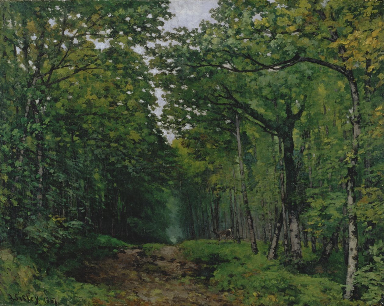 A, avenida, de, castanha, árvores, em, la, Celle-Saint-Cloud, 1867 de Alfred Sisley