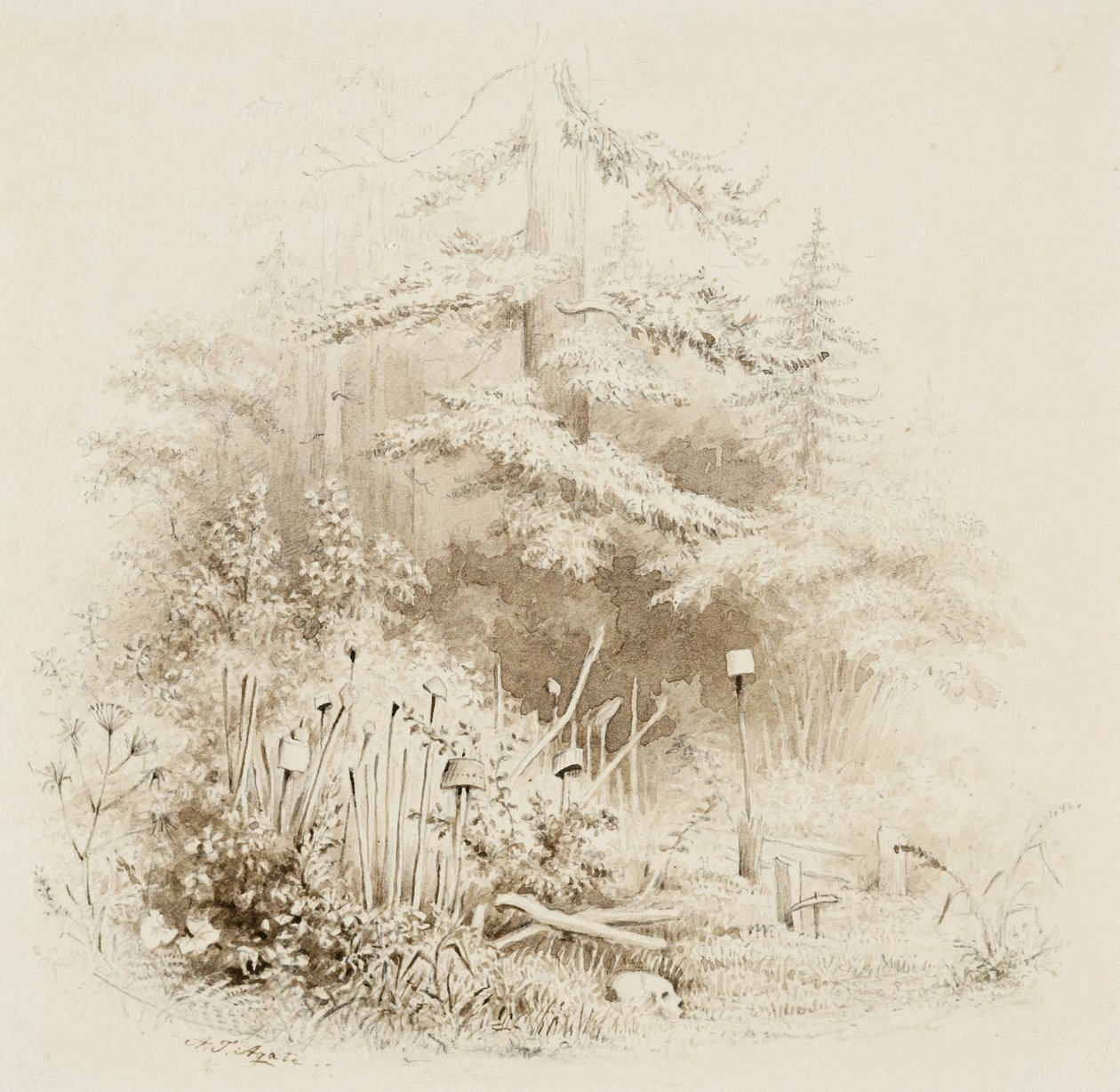 Indian Burial Place, Oregon, 1841 (escova e lavagem marrom, com grafite, em papel woven creme) de Alfred Thomas Agate