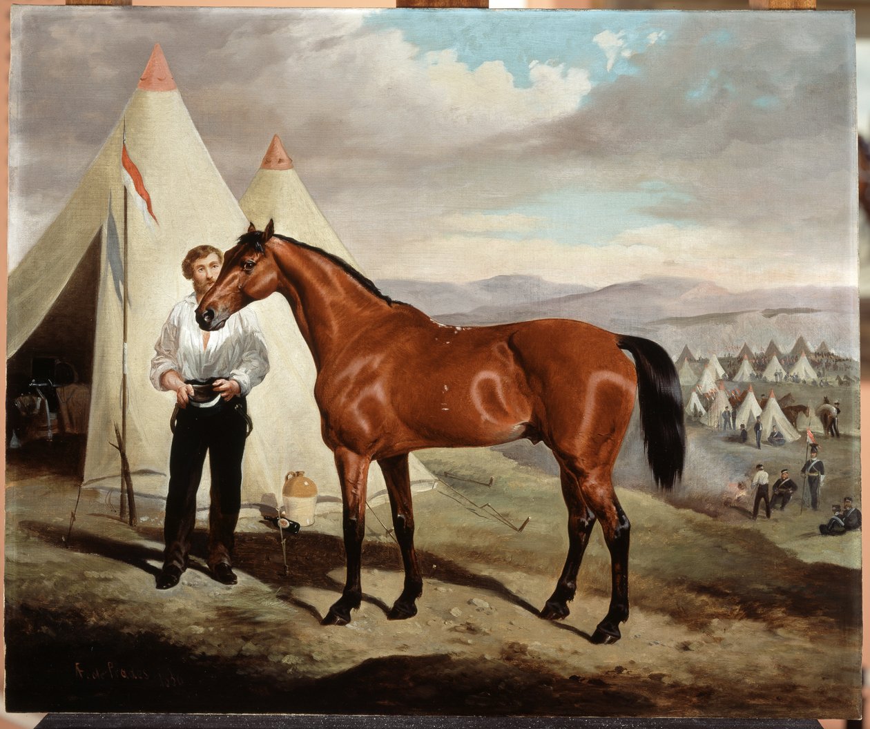 Sir Briggs, cavalo de Lord Tredegar (1831-1913) dos 17º Lancers, em Camp in Crimea 1854, 1856 de Alfred de Prades