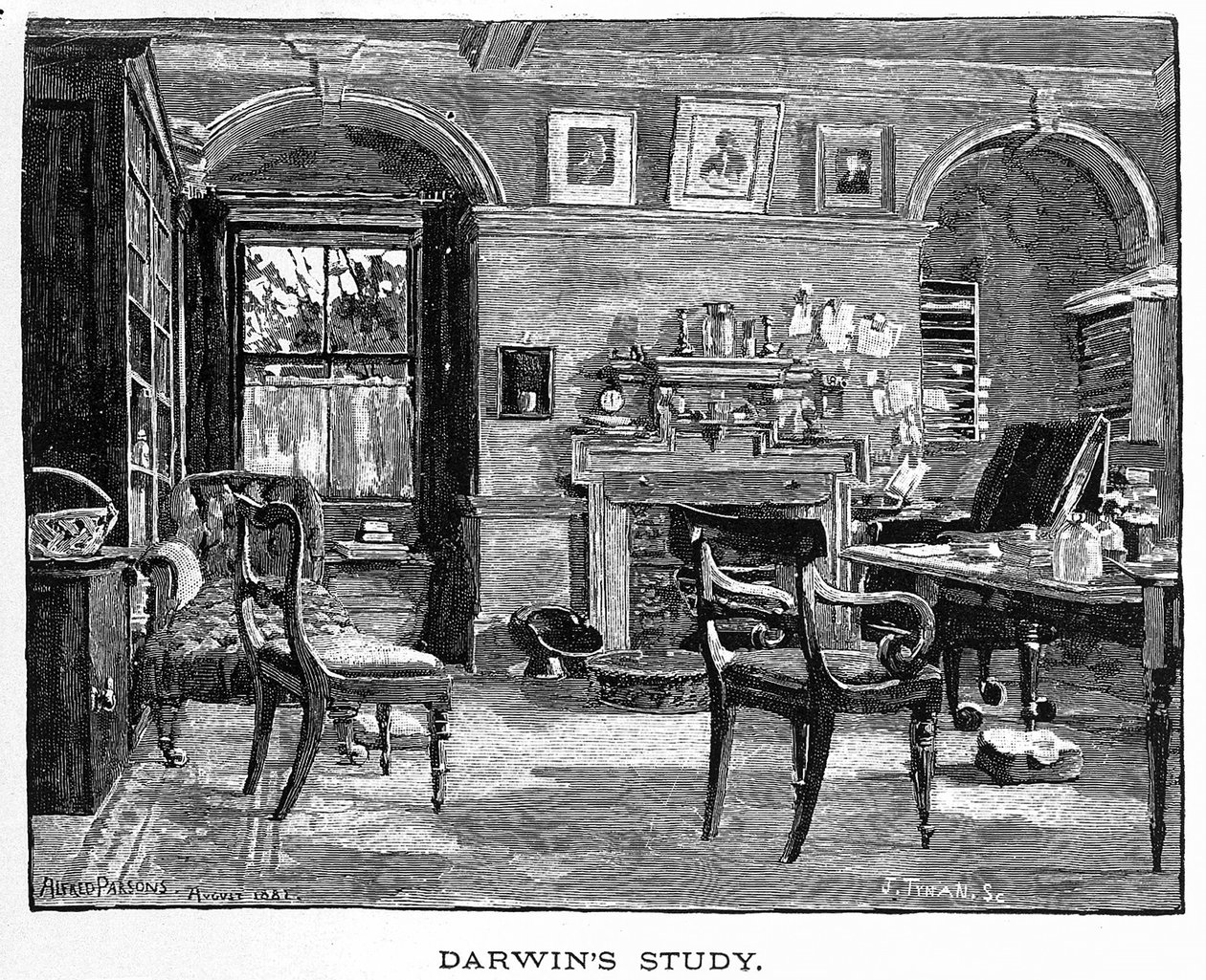 O Estudo de Darwin de Charles Darwin, sua Vida e Trabalho, pub. 1891 (gravura em madeira) de Alfred (after) Parsons