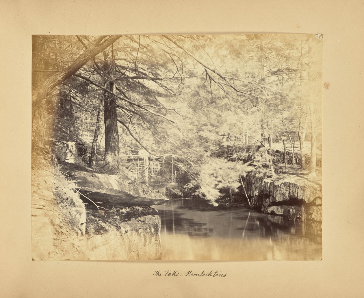 As Cataratas - Árvores de cicuta de Alfred Booth