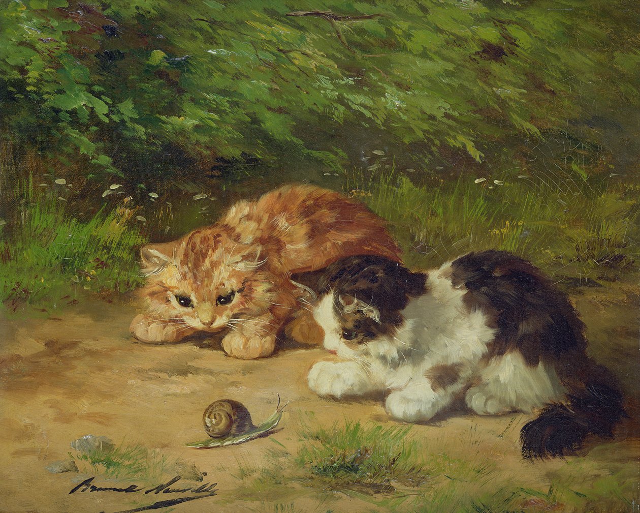 Gatinhos e caracol de Alfred Brunel de Neuville