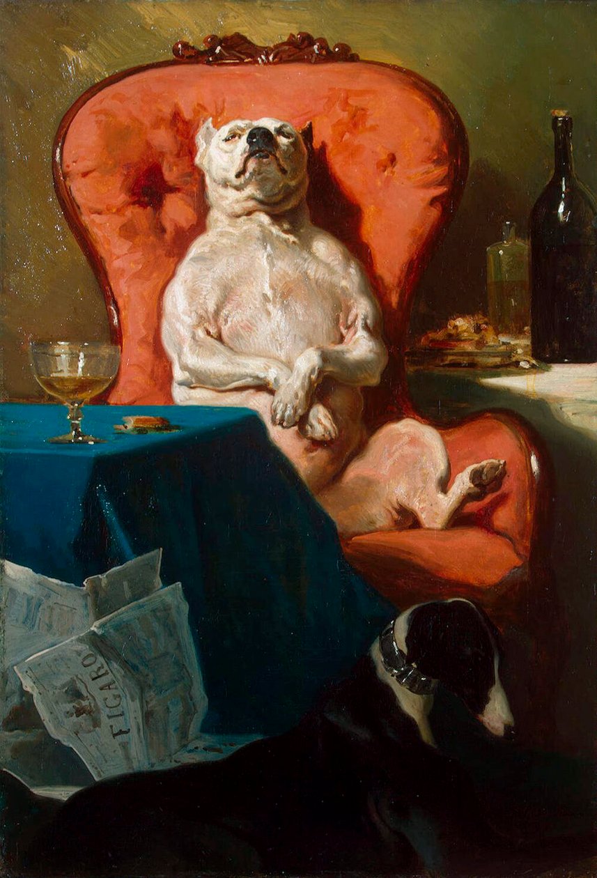 Cão Pug em uma Poltrona