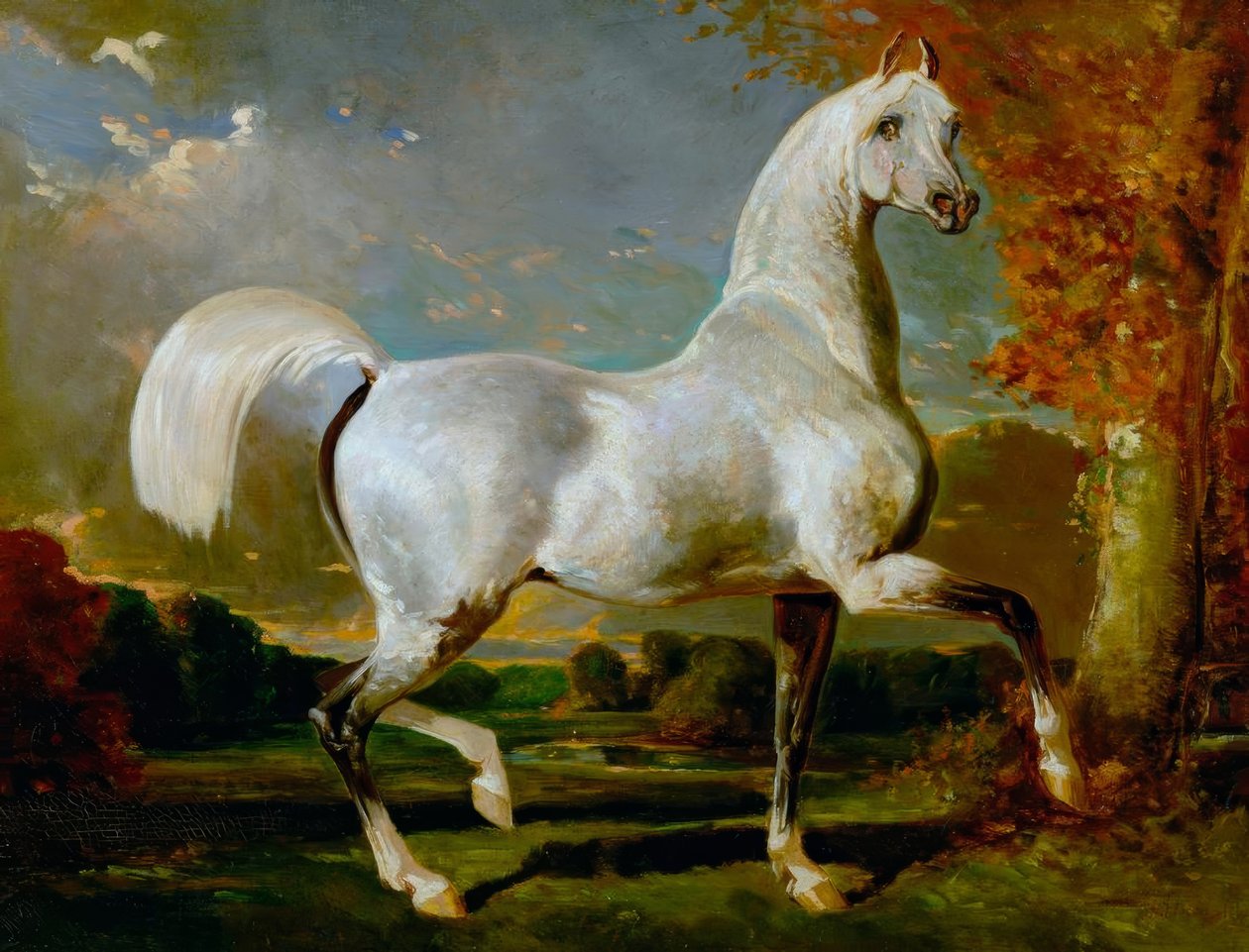 Garanhão árabe de Alfred Dedreux