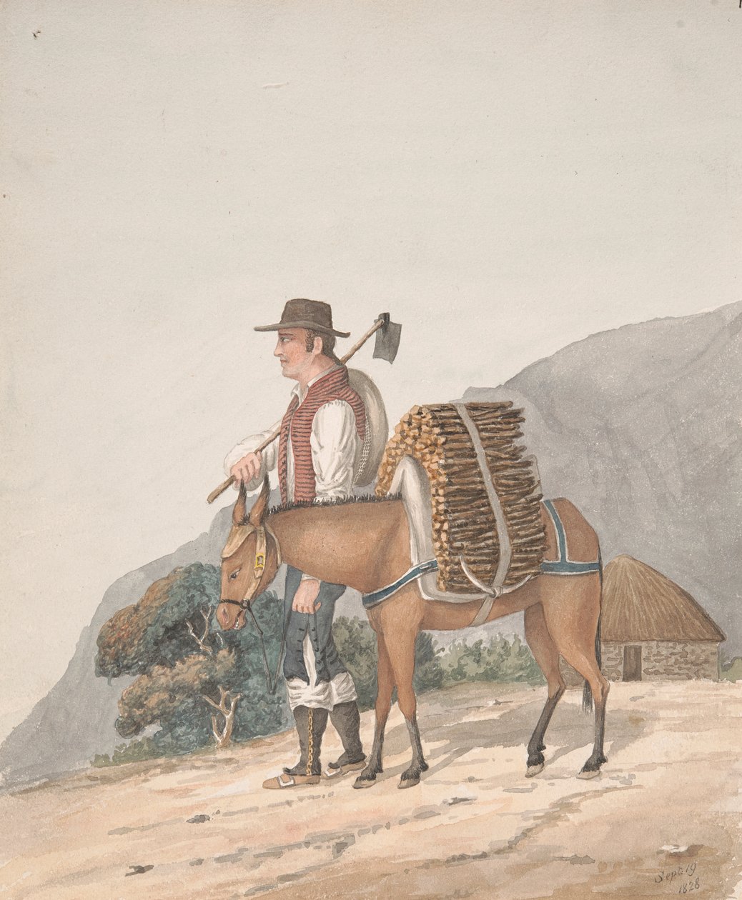 Vendedor de lenha, Tenerife de Alfred Diston