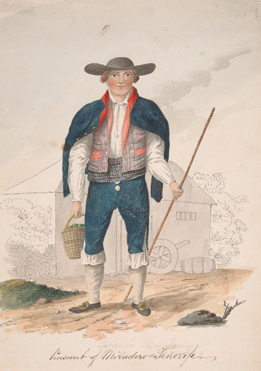 Camponês de Miradero, Tenerife de Alfred Diston