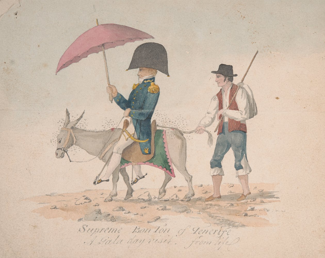 Supremo Bon Tonelada de Tenerife de Alfred Diston