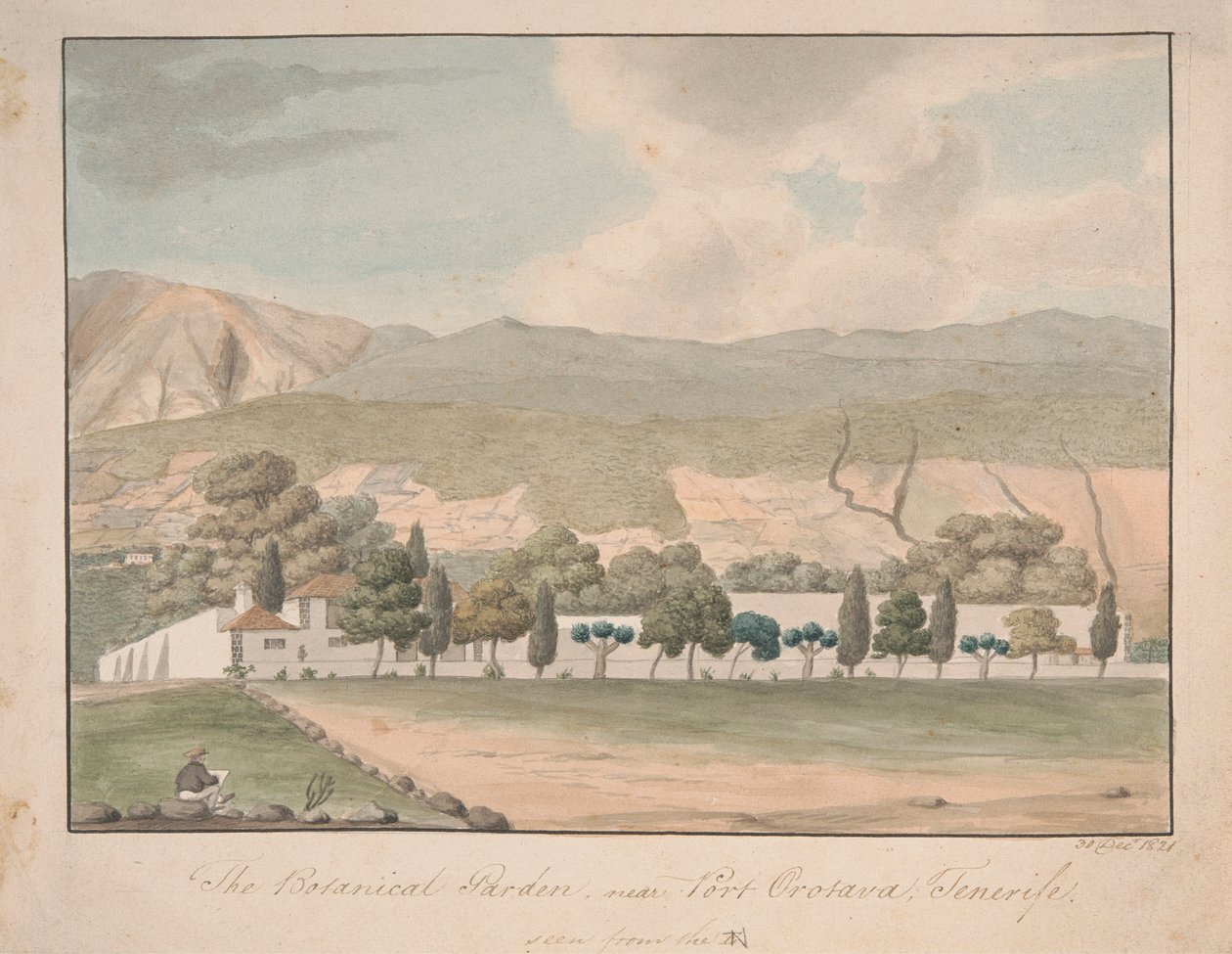 O Jardim Botânico perto de Port Orotava, Tenerife de Alfred Diston