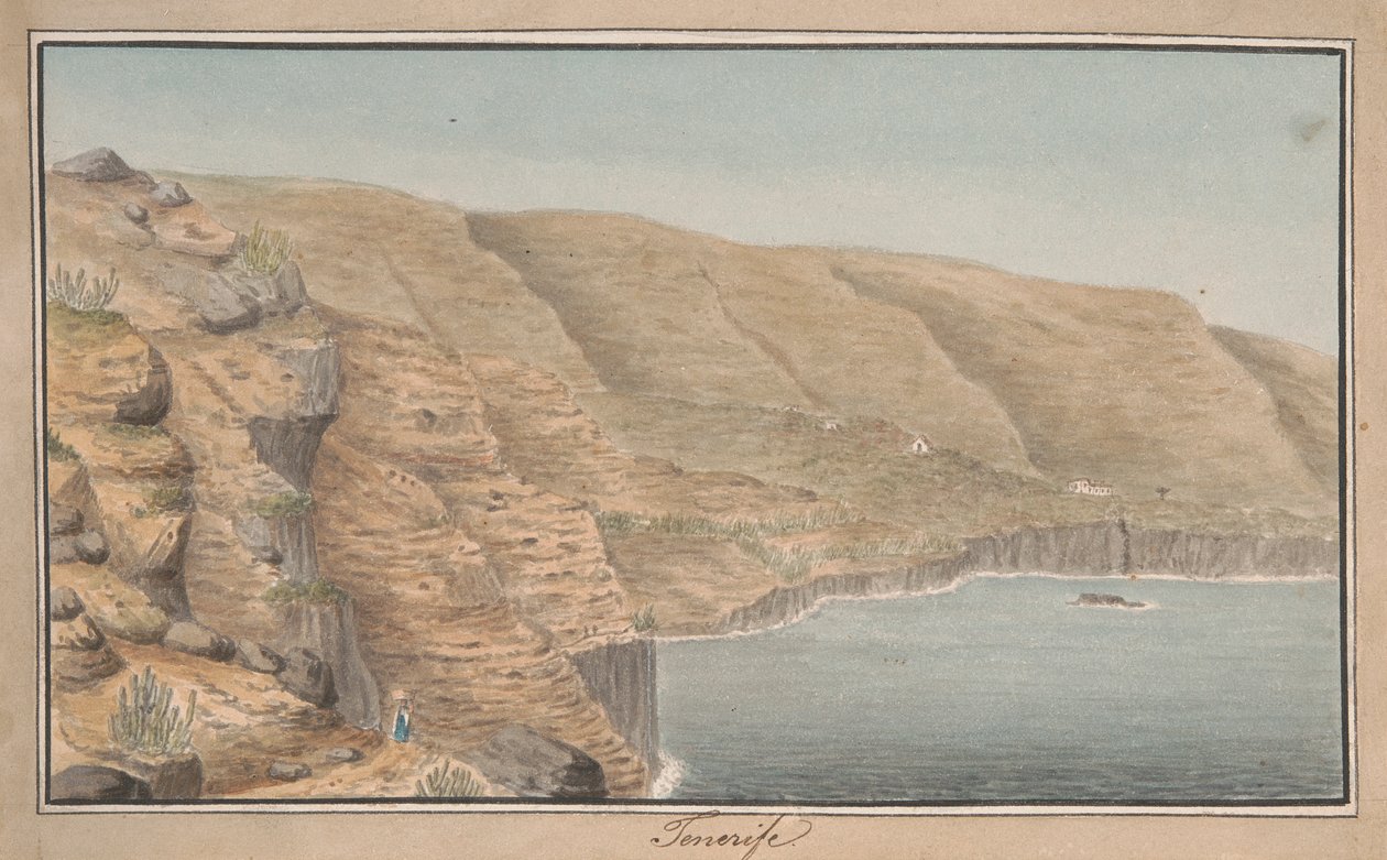 Vista de La Rambla de Castro perto de Port Orotava, Tenerife de Alfred Diston