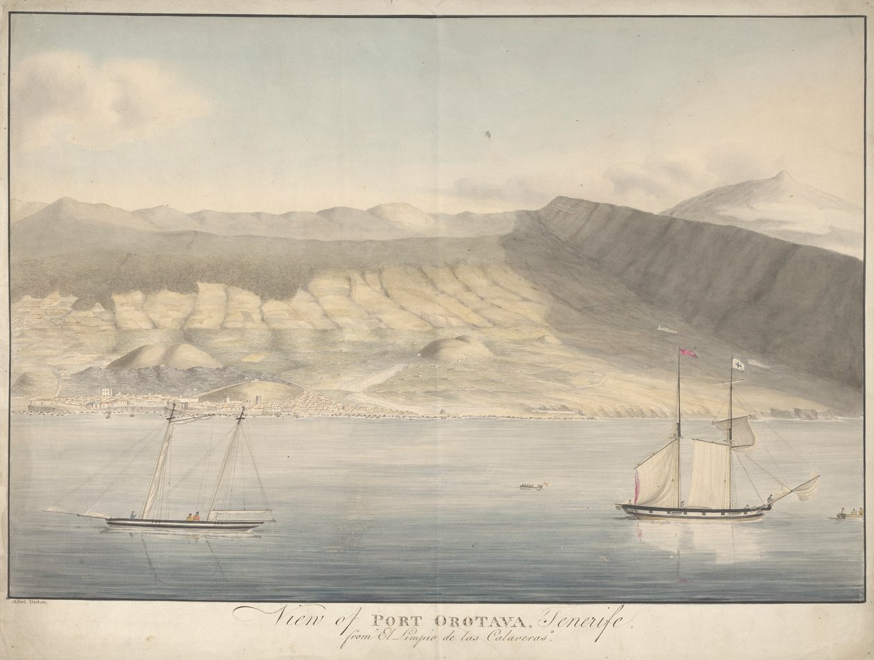 Vista de Port Orotava, Tenerife, de El Limpio de Las Calaveras de Alfred Diston