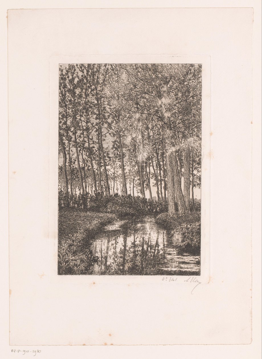 Árvores altas pela água de Alfred Elsen (signed by artist)