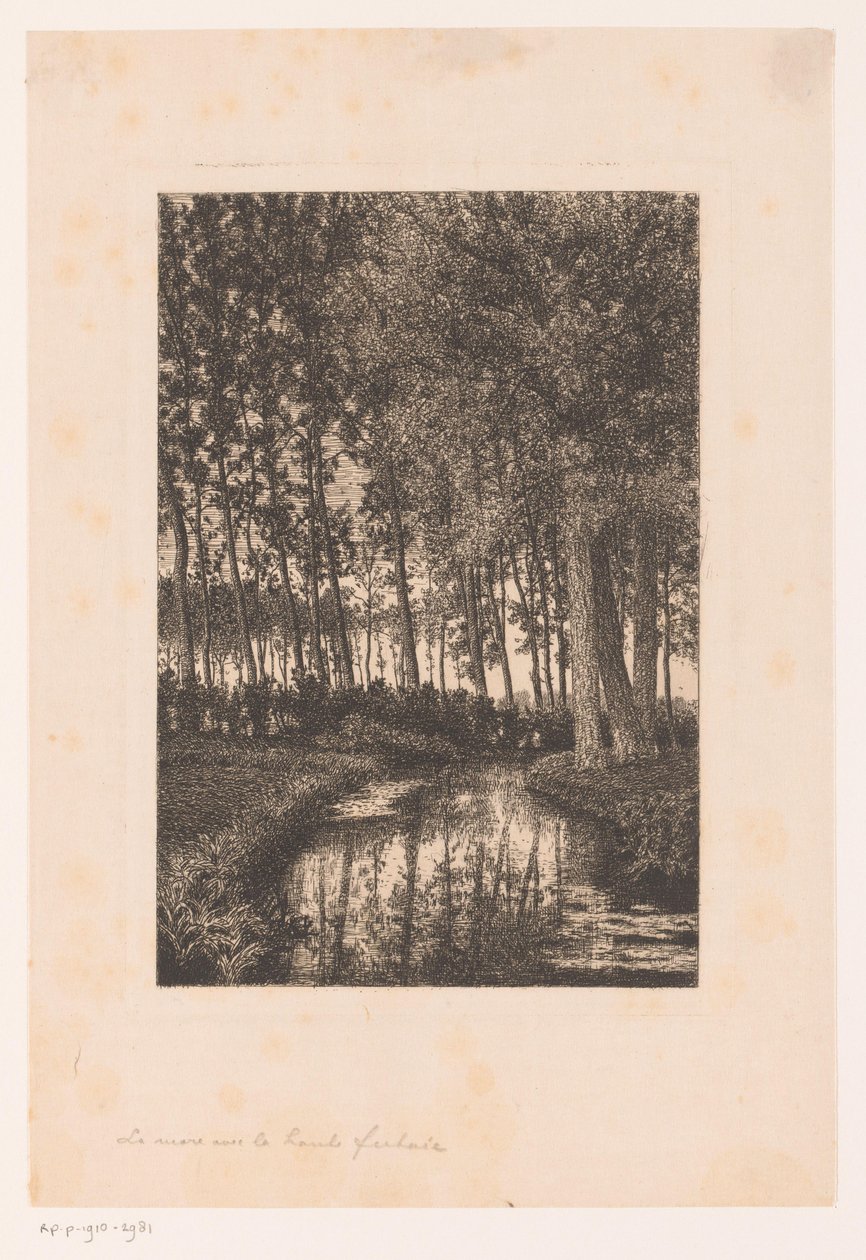 Árvores altas pela água de Alfred Elsen