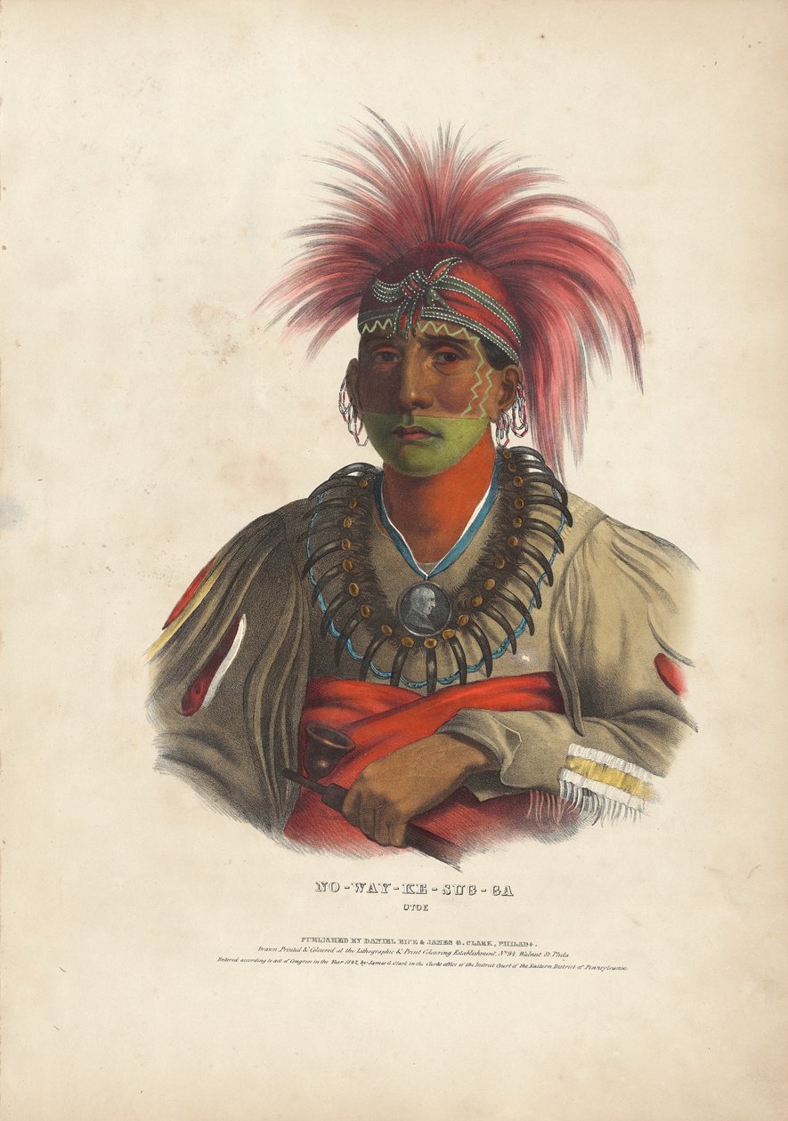 Nenhuma soma y-case g-é Otoe de Alfred Hoffy, after Charles Bird King