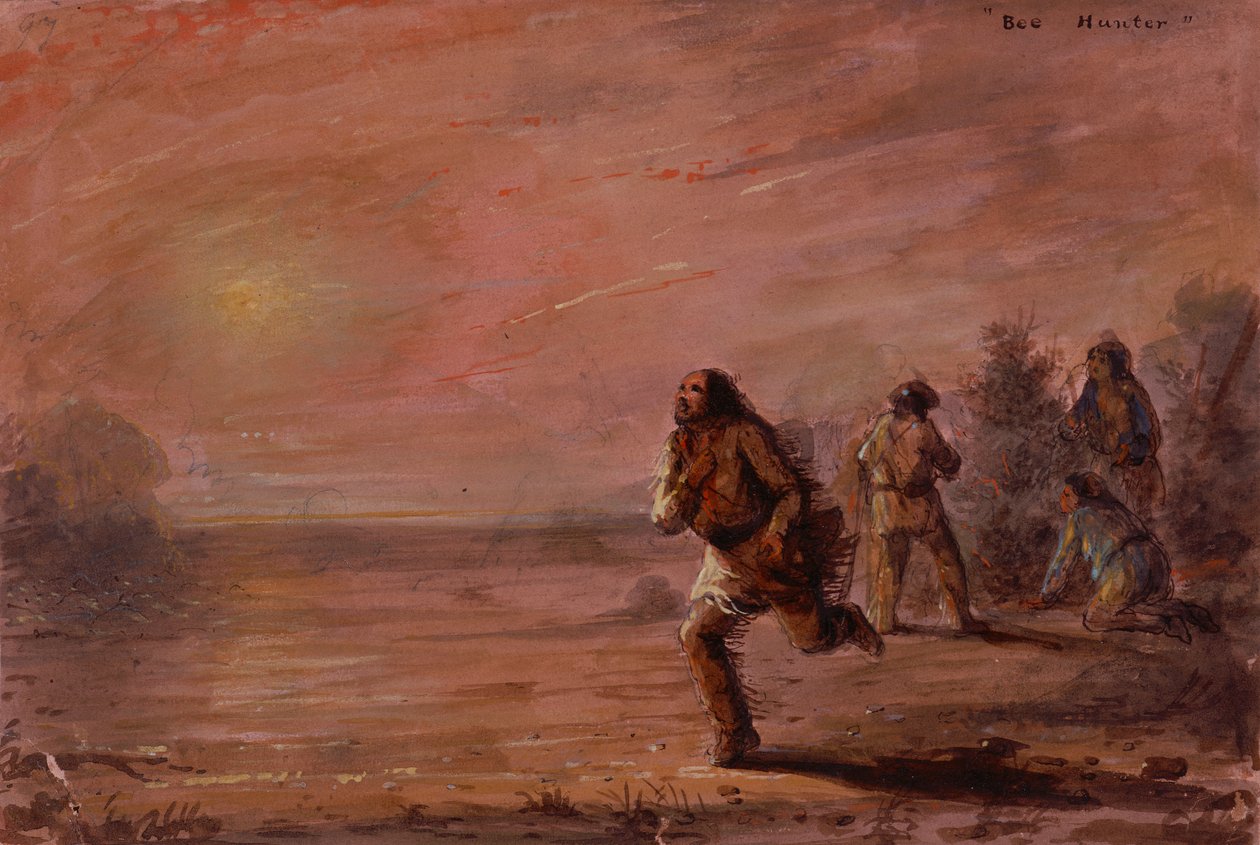 Bee Hunters, c.1837 (óleo sobre papel) de Alfred Jacob Miller