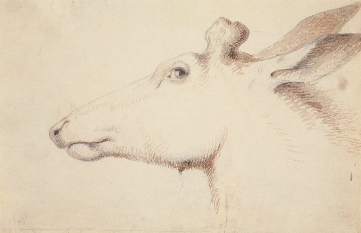 Alce. c.1837 (desenho) de Alfred Jacob Miller