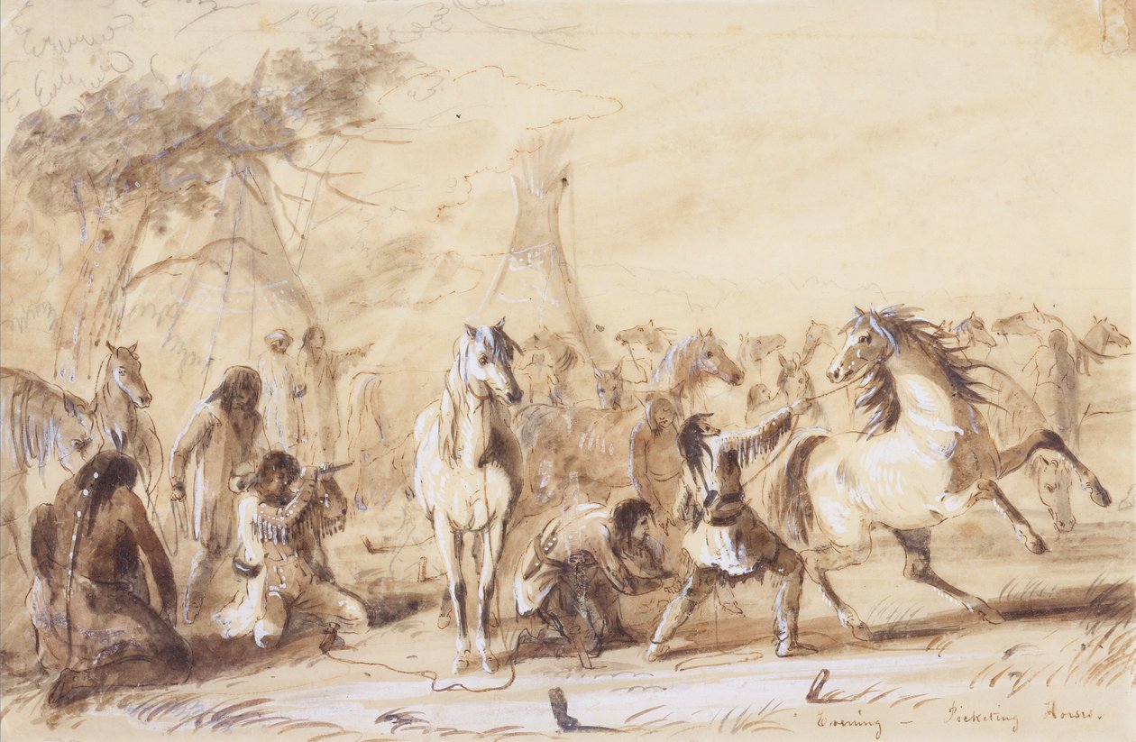 Noite, Cavalos de Piquete, c.1837 (lápis, aguarela e guache sobre papel) de Alfred Jacob Miller