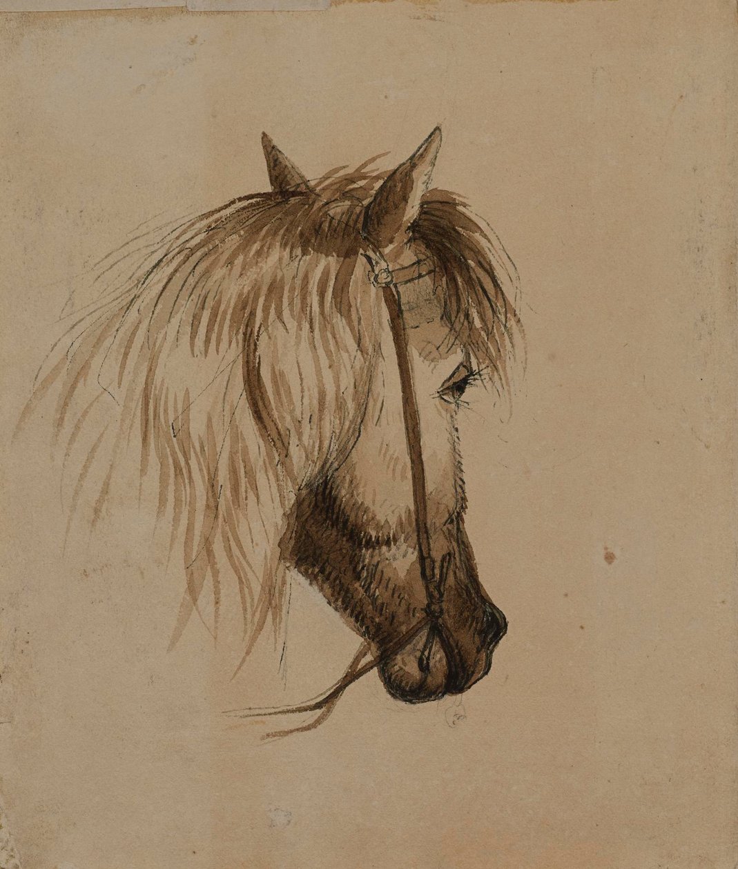 Cabeça de cavalo de Alfred Jacob Miller
