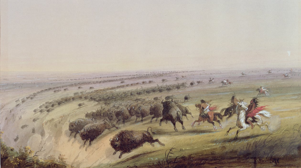 Búfalo Caça, 1837 de Alfred Jacob Miller