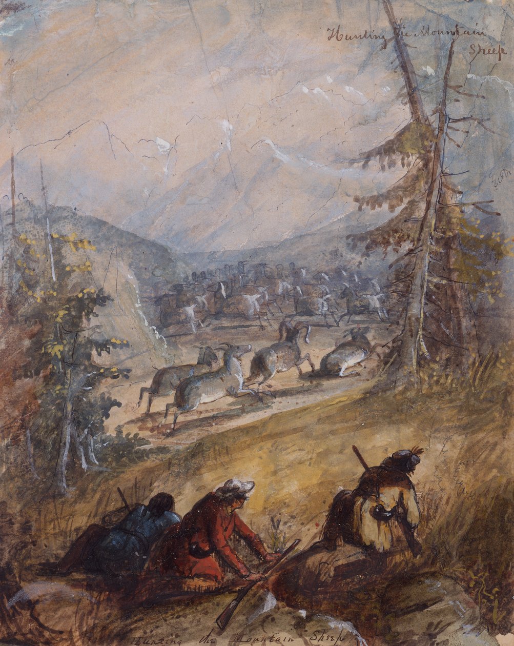 Caça ao Carneiro da Serra, c.1837 (lápis, caneta e tinta, aguarela e guache sobre papel) de Alfred Jacob Miller