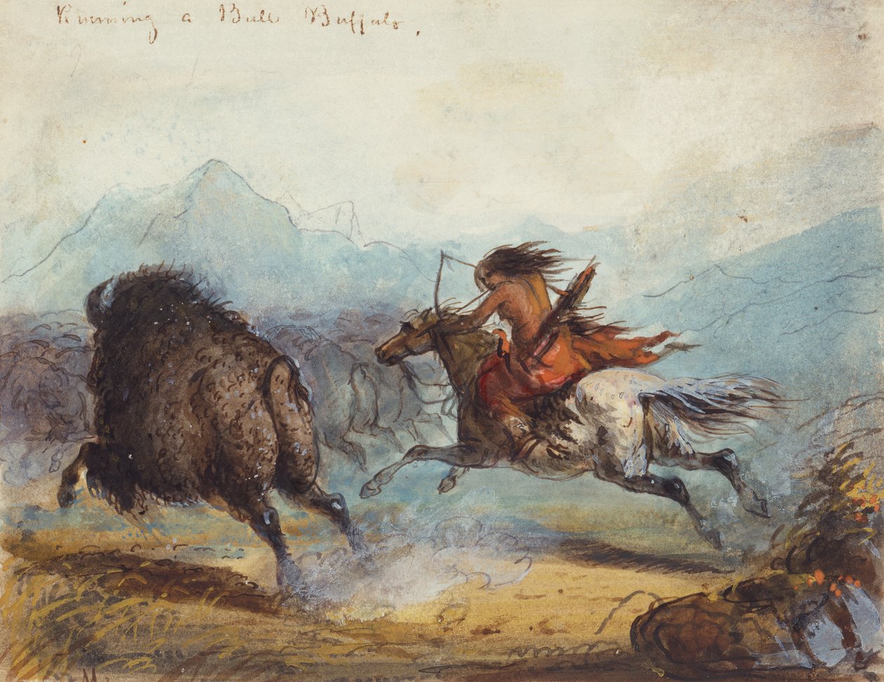 Mulher indiana executando um búfalo, c.1858-60 (aquarela sobre papel) de Alfred Jacob Miller