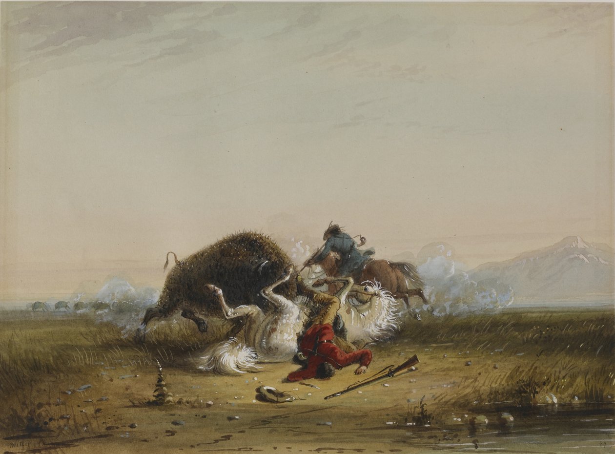 Pierre e o búfalo de Alfred Jacob Miller