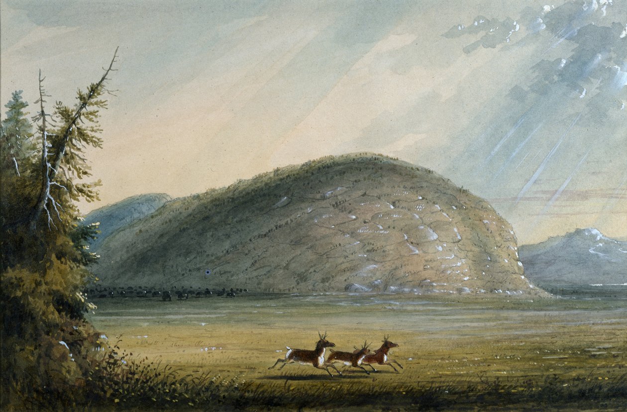Rochedo da Independência de Alfred Jacob Miller